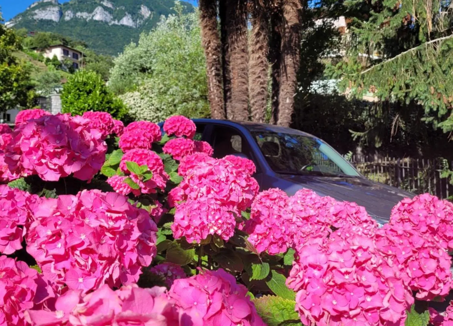 Casa vacanze Paradise Villa Vista Lago Di Como A Menaggio Italia